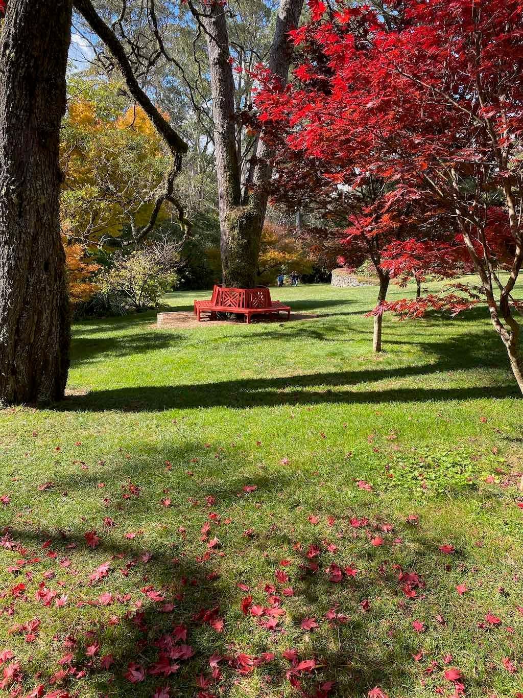 May 2023 Bathurst Mayfield Garden Tour Image -64605bc314c85